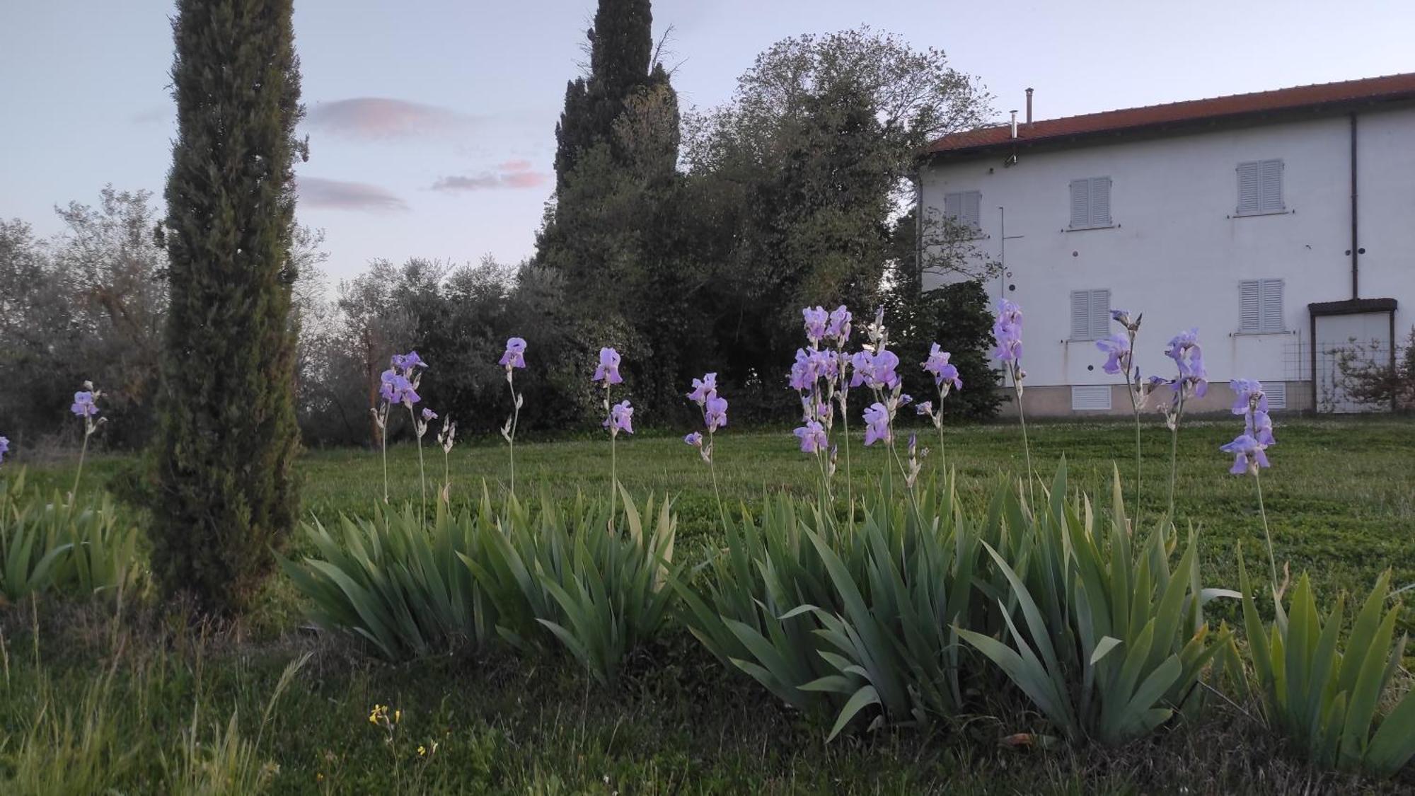 Вилла Borgo Iris Pietraia Экстерьер фото